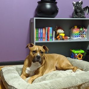 Meet your Posher, Isaiah